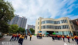 普宁职校爆料事件最新,真相与争议交织的校园风云